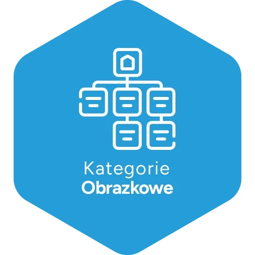 Kategorie Obrazkowe - aplikacja Shoper